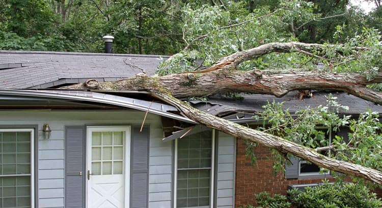 Roofing Services in St. Johns County, FL: Storm Damage Repairs